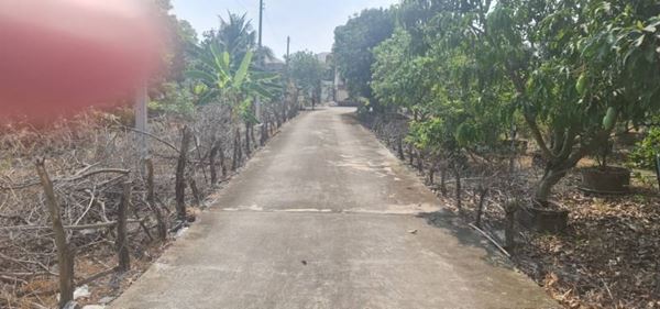 ขายที่ดิน ราชพฤกษ์ ใกล้ รร.เด่นหล้า พร้อมบ้าน 1หลัง ปากซอยเป็น chic republic โทร 0619419639